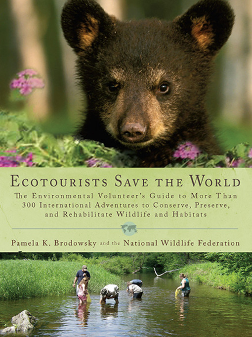 Title details for Ecotourists Save the World by Pamela K. Brodowsky - Available